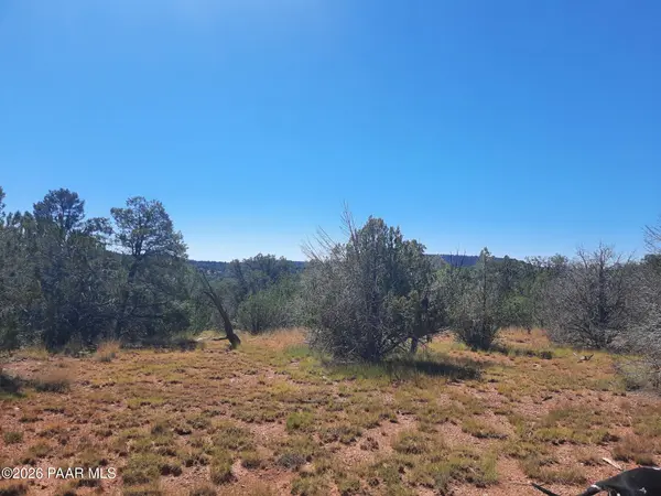 30260 W Circle DR, Seligman, AZ 86337