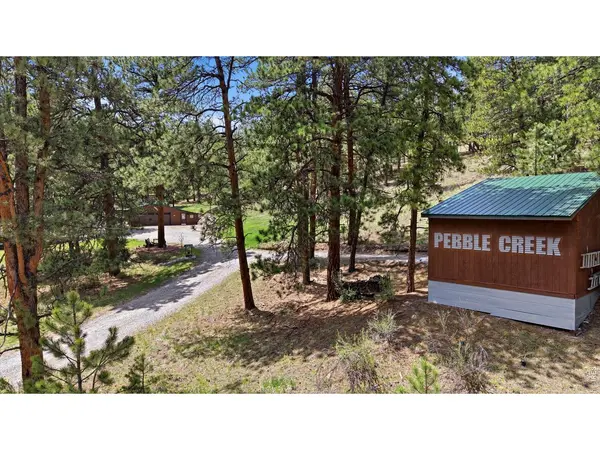 102 Insmont, Bailey, CO 80421