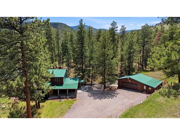 102 Insmont, Bailey, CO 80421