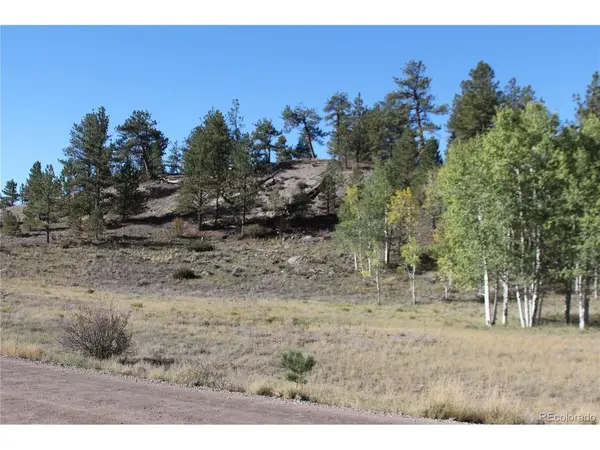 2721 Ranch, Hartsel, CO 80449