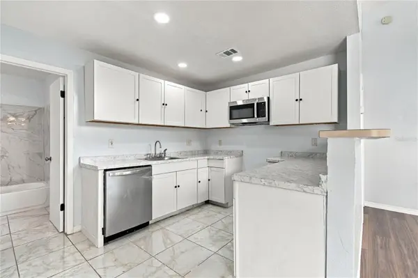 12291 ARMENIA GABLES CIR, Tampa, FL 33612