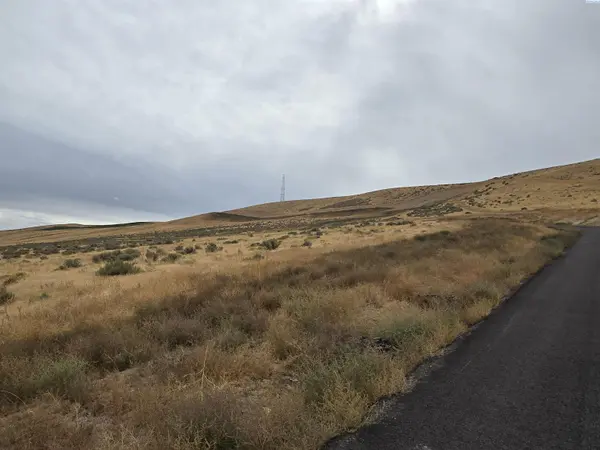 NKA Ruppert Road (223.96 acres), Benton City, WA 99320