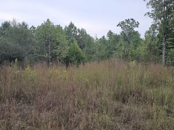 0 SR 56, Tracy City, TN 37387