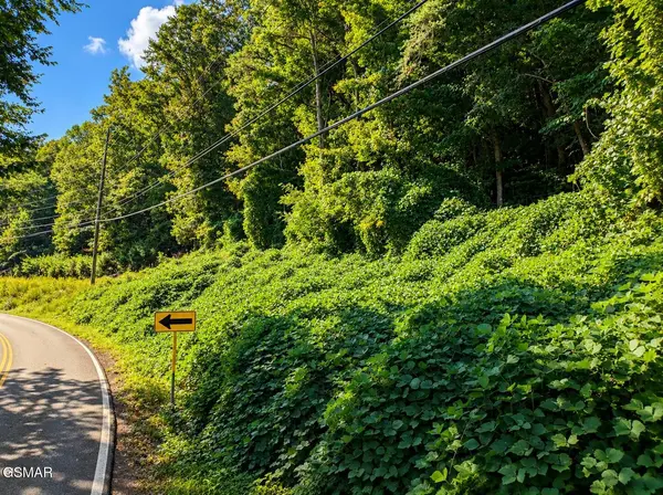 12 Pittman Center Road, Sevierville, TN 37876
