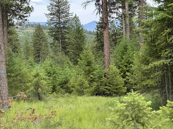 36XX Lot E Sheridan Rd, Republic, WA 99166