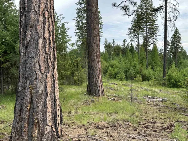 36XX Lot F Sheridan Rd, Republic, WA 99166