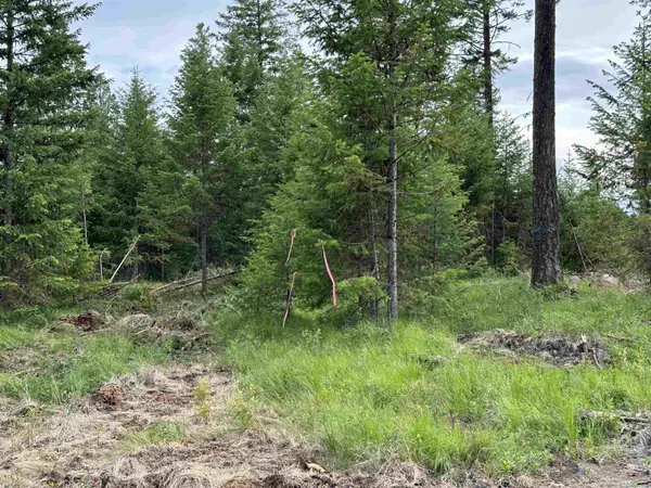 36XX Lot F Sheridan Rd, Republic, WA 99166