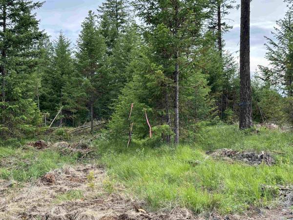 36XX Lot F Sheridan Rd, Republic, WA 99166