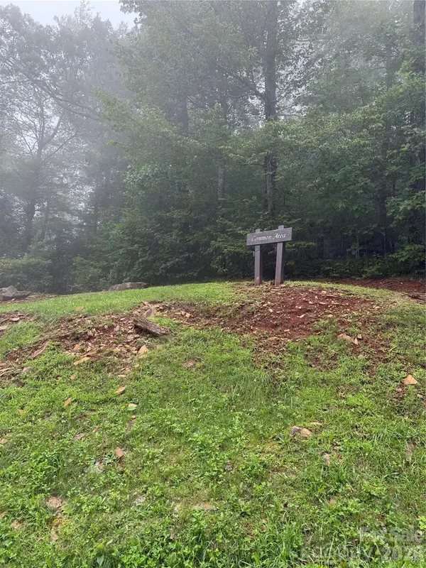 Lot #35 Damselfly CT, Spruce Pine, NC 28777
