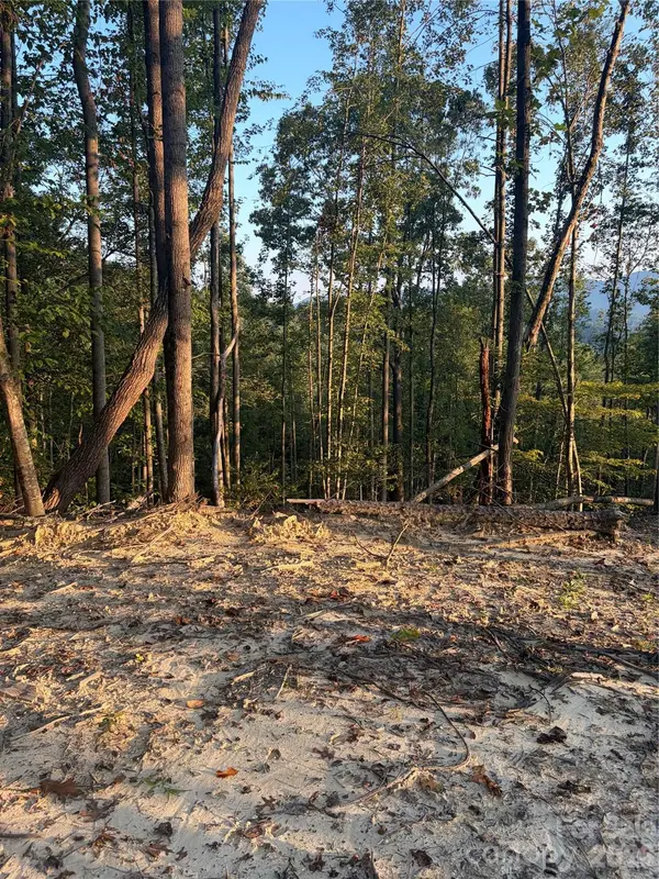 TBD Lot 2 Old Nc highway 16 None, Millers Creek, NC 28651