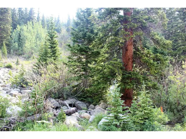 1 Miners, Idaho Springs, CO 80461