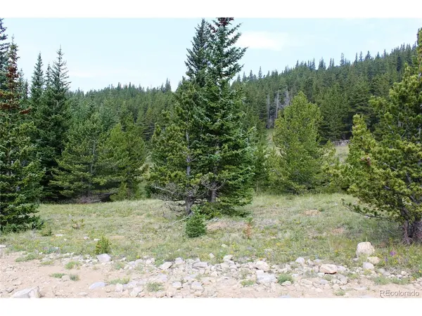 13620 Independence, Idaho Springs, CO 80461