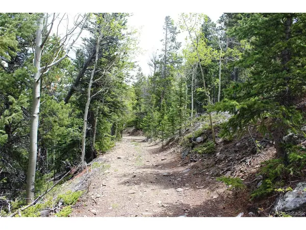16564 Pennsylvania, Idaho Springs, CO 80461
