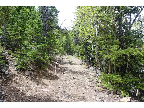 16564 Pennsylvania, Idaho Springs, CO 80461