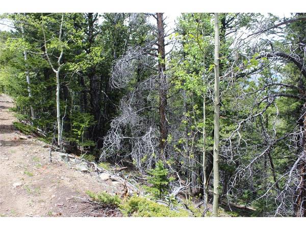 16564 Pennsylvania, Idaho Springs, CO 80461