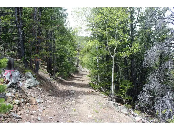 16564 Pennsylvania, Idaho Springs, CO 80461