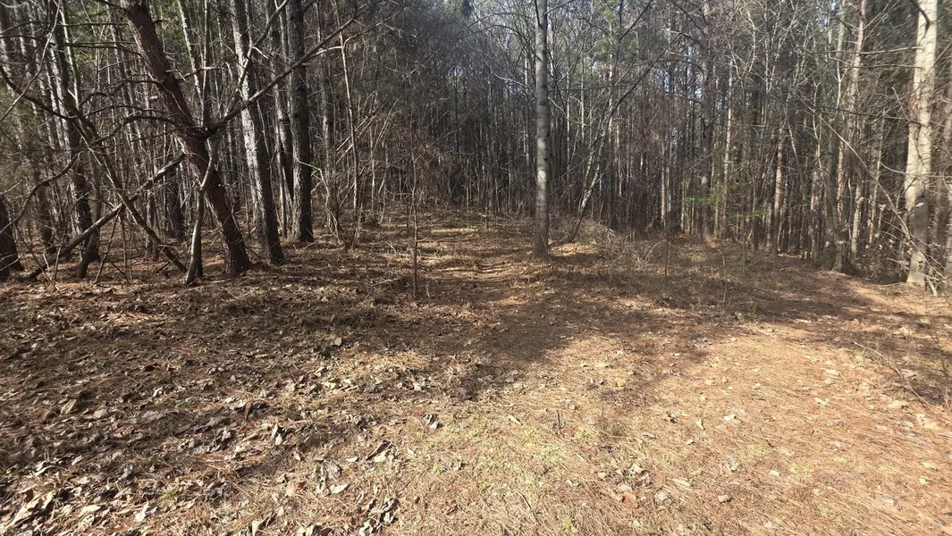 180 Rock Creek Drive, Old Fort, TN 37362