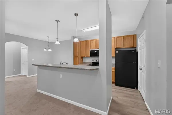 31 Kassebaum LN #203, St Louis, MO 63129