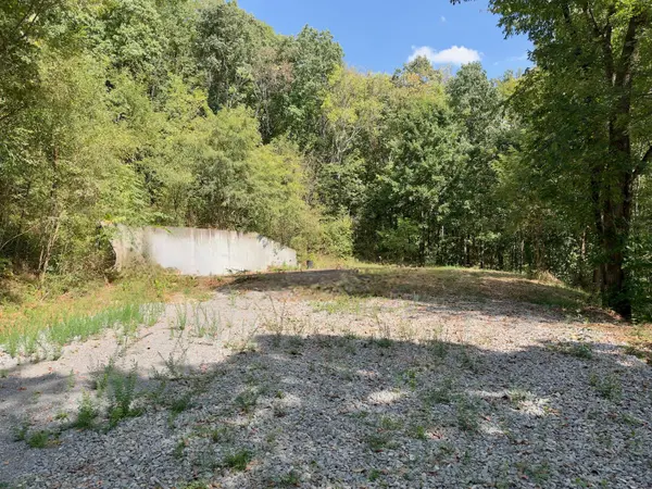 0 Ford Ln, Bradyville, TN 37026