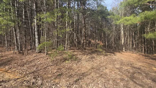 180 Rock Creek Drive, Old Fort, TN 37362