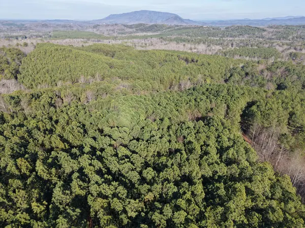 180 Rock Creek Drive, Old Fort, TN 37362