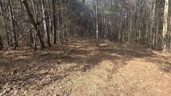 180 Rock Creek Drive, Old Fort, TN 37362