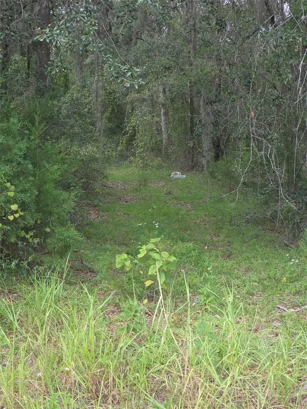16604 NE 21ST ST, Gainesville, FL 32609