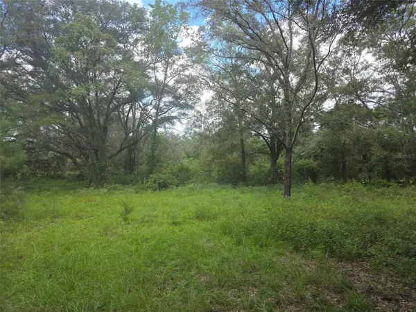 16604 NE 21ST ST, Gainesville, FL 32609