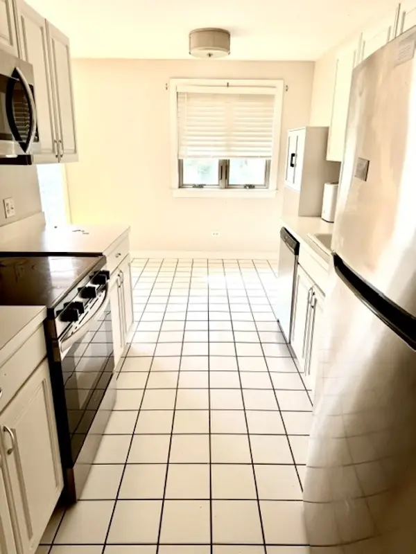 1244 W BYRON ST #2, Chicago, IL 60613