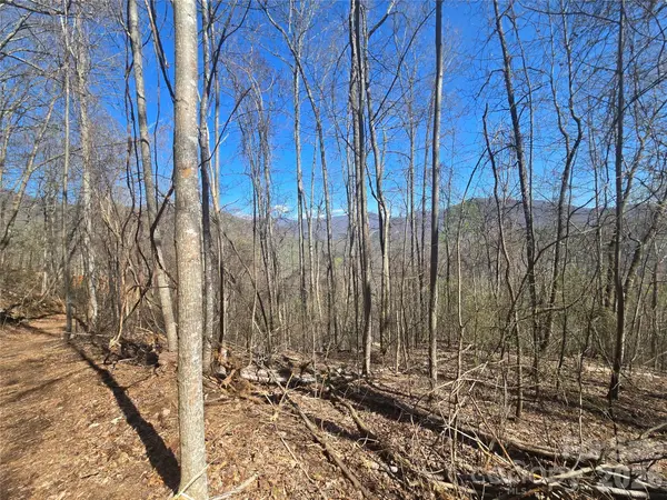 0000 Brasstown RD, Cullowhee, NC 28723