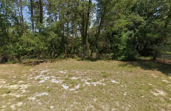 8941 SW 131ST PL, Ocala, FL 34476