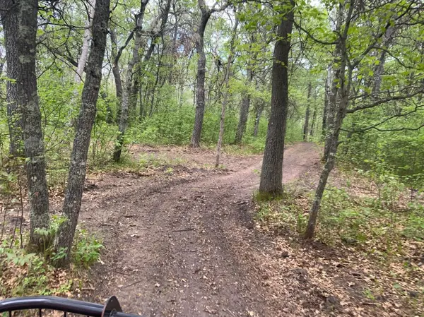TBD Pincherry NE, Bemidji, MN 56601