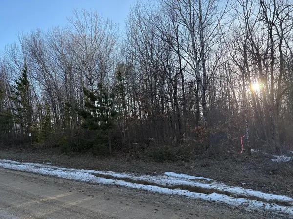 TBD Pincherry NE, Bemidji, MN 56601