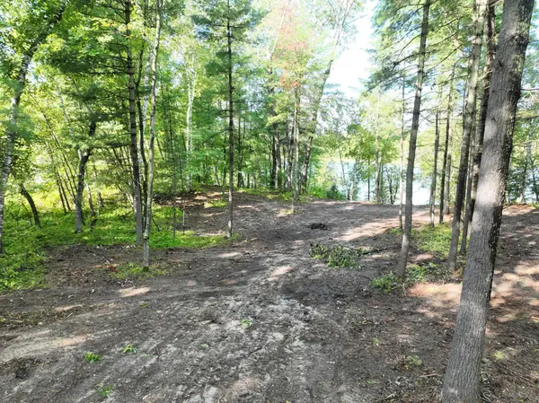TBD Long Lake RD NW, Akeley, MN 56433