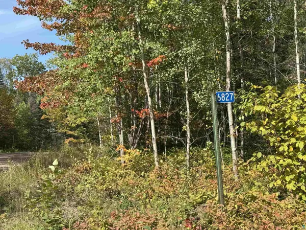 6827 Two Moose Tr, Finland, MN 55603