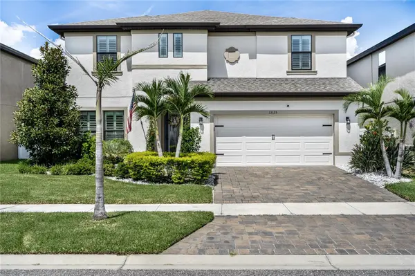 13125 FOXTAIL FERN DR, Riverview, FL 33579