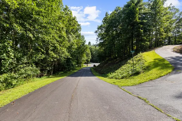 6 Timber Lane Court, Turtletown, TN 37391