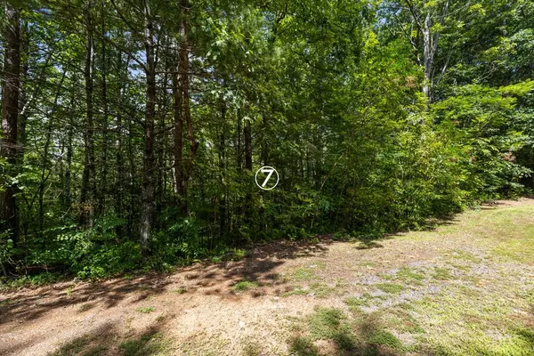 7 Timber Lane Court, Turtletown, TN 37391