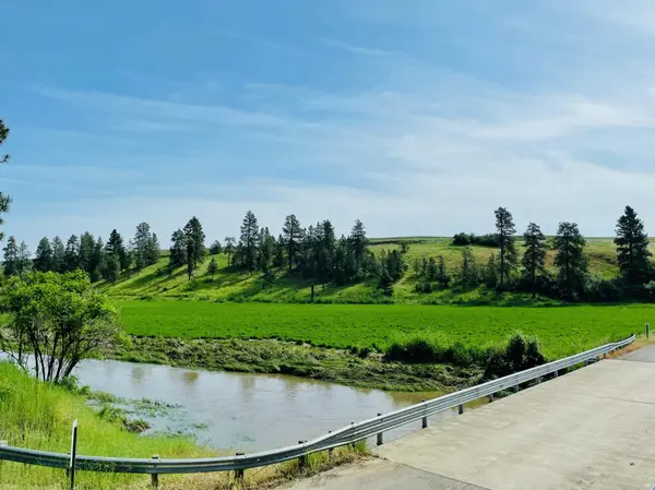 40 Acres 11900 Hays Rd #Lot A - Parcel 9030, Spangle, WA 99031