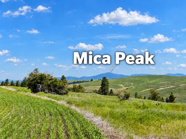 40 Acres 11900 Hays Rd #Lot A - Parcel 9030, Spangle, WA 99031