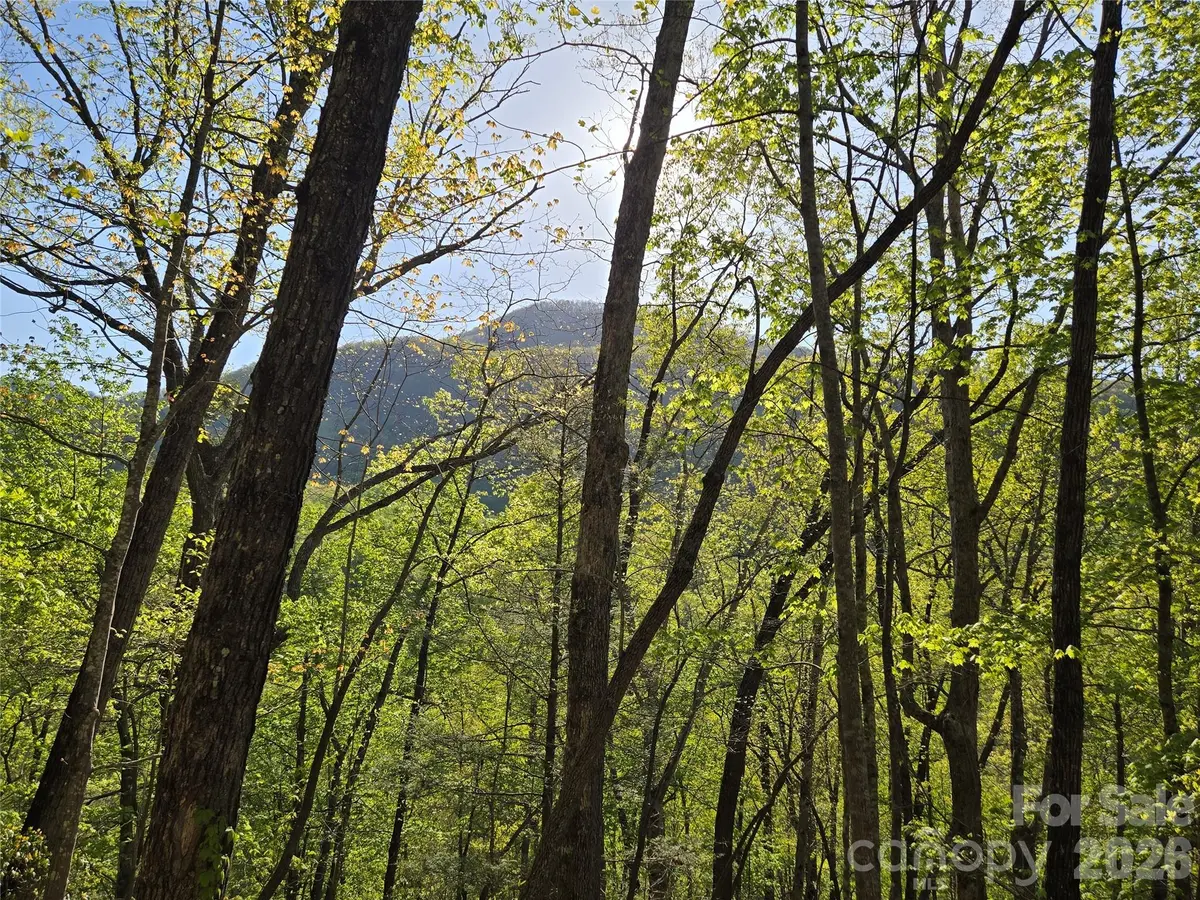 Lot 164 Spanarkel LN, Lake Lure, NC 28746