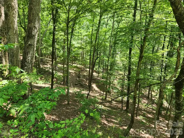 Lot 81, 82, & 88 Walnut LN, Lake Lure, NC 28746