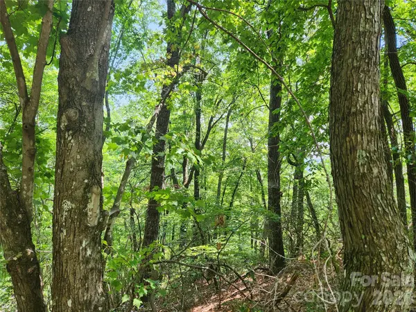 Lot 117, 118, & 132 Summit CT, Lake Lure, NC 28746