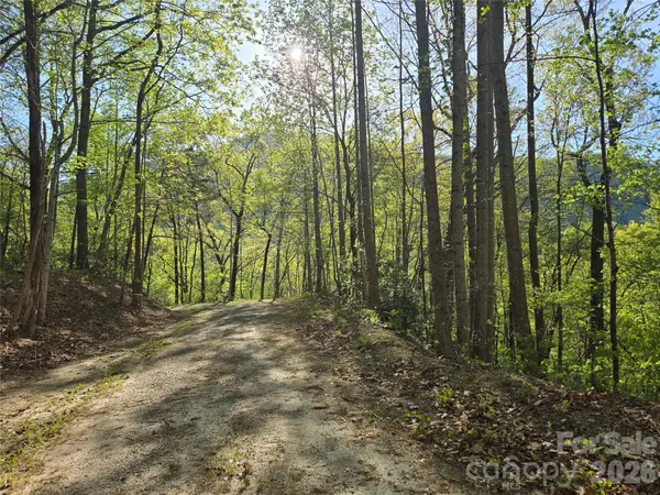 Lot 164 Spanarkel LN, Lake Lure, NC 28746