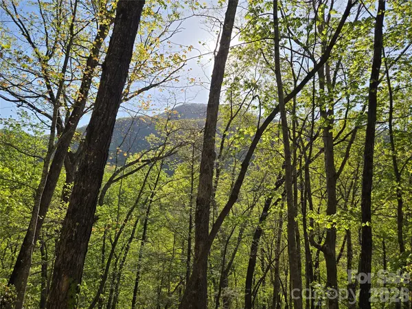 Lot 164 Spanarkel LN, Lake Lure, NC 28746
