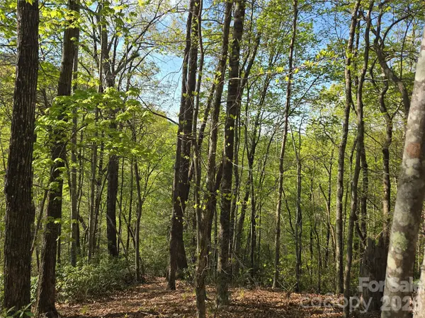 Lot 164 Spanarkel LN, Lake Lure, NC 28746