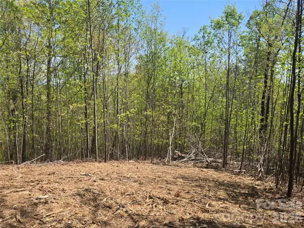 Lot 32 High Rock RDG, Lake Lure, NC 28746