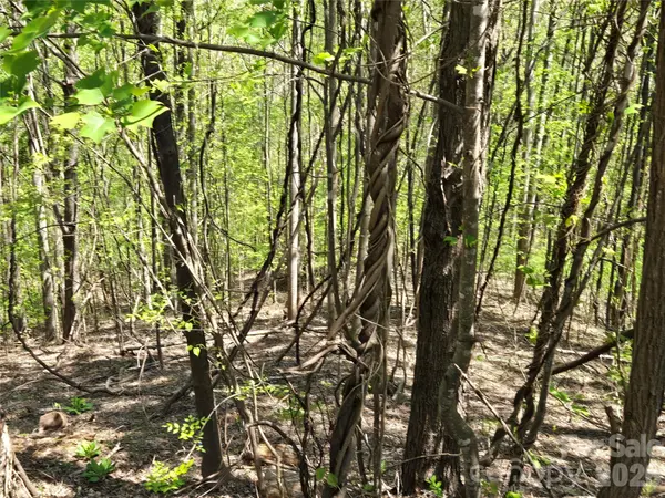 Lot 33 Turkey Fall LN, Lake Lure, NC 28746