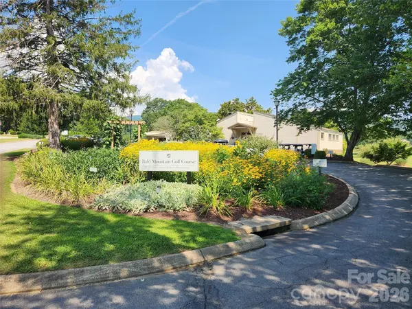 Lot 4 Hibiscus CT, Lake Lure, NC 28746