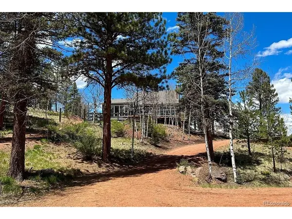 83 Pika Creek, Florissant, CO 80816